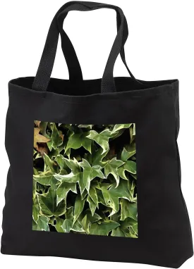 3dRose Black Tote Bag JUMBO 20w x 15h x 5d - Variegated Ivy Acrylic Painting - Ivy Leaves