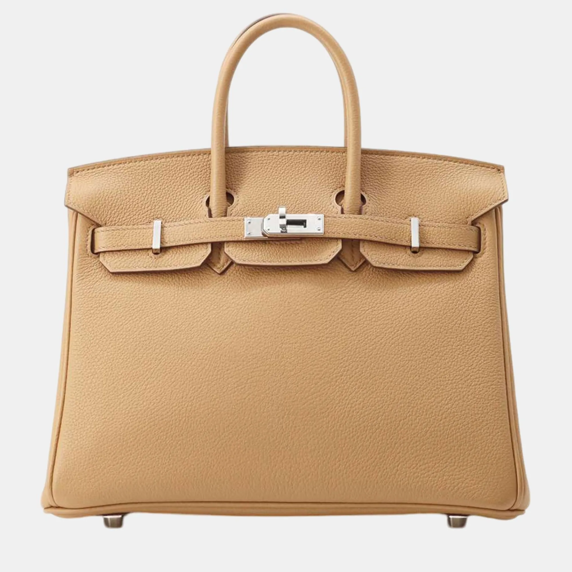 Biscuit Taurillon Nobillo 25 Birkin Tote Bag