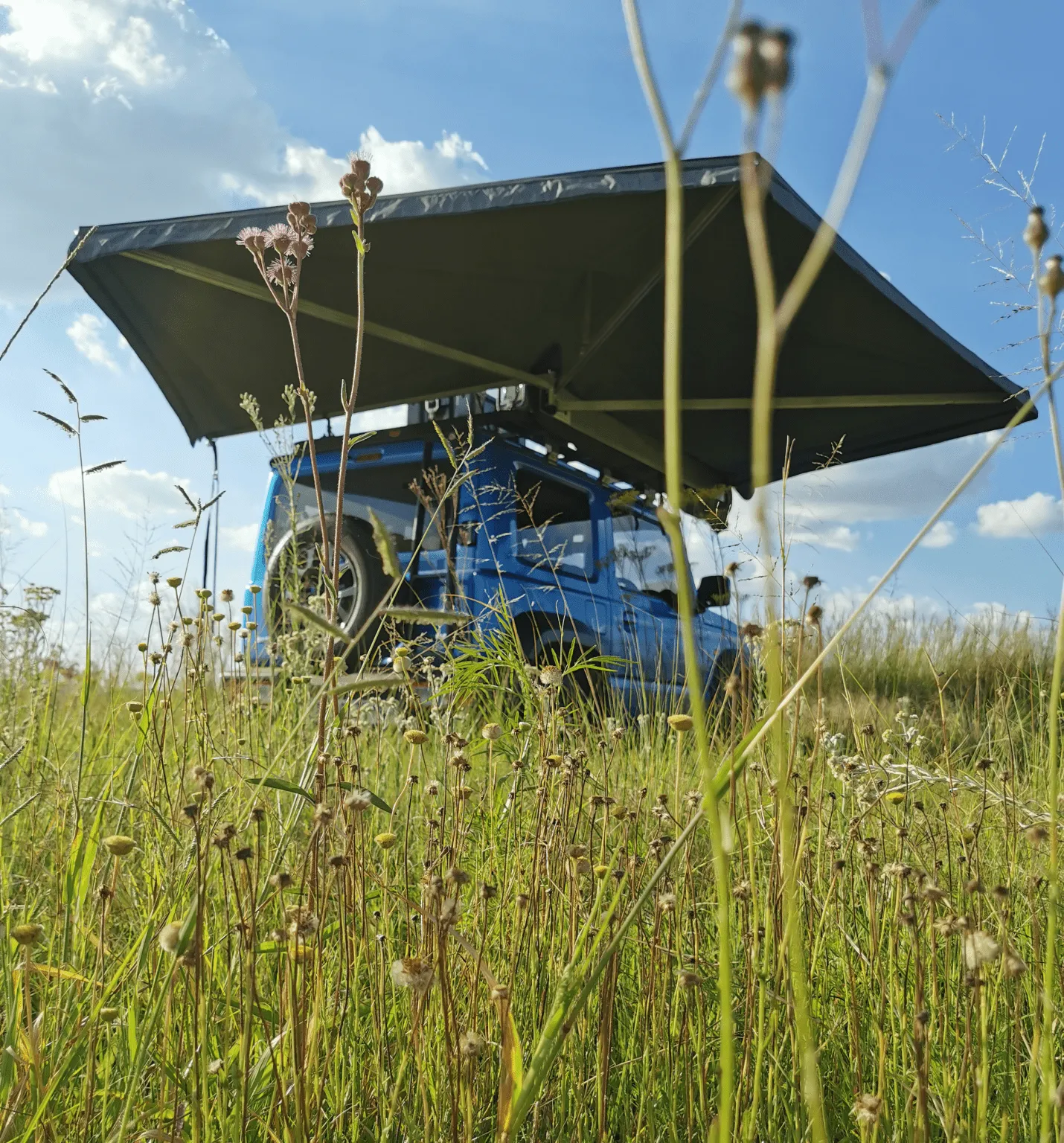 Rugged Bound Ostrich Wing Junior Awning